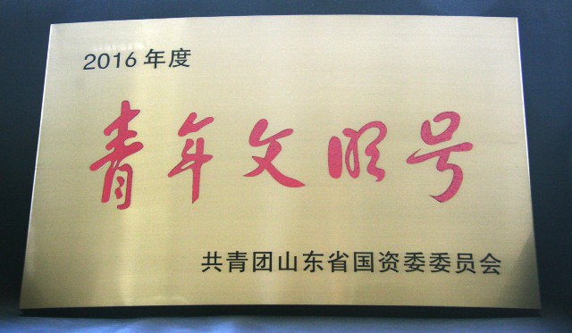 2017年8月10日银座汽车一汽奥迪4S 店荣获2016年度省级青年文明号.JPG